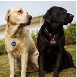 2018 الساخن بيع الكلب أو القط معرف الكلمات المحفور أو رمز الاستجابة السريعة بطاقة الحيوانات الأليفة