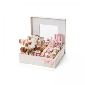 حار بيع ماكارون التعبئة مربع مع غطاء ماكارون تصميم مربعات