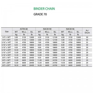 G70 Binder Chain with 2 Clevis Grab Hook