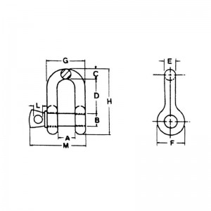 الولايات المتحدة نوع إسقاط مزورة برغي دبوس سلسلة تكبل