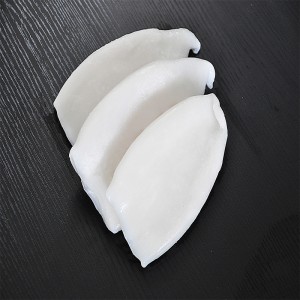 أنبوب الحبار المجمد