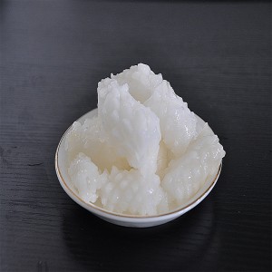 زهرة الحبار المجمدة