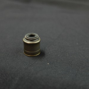 قطع المطاط الديزل FPM ختم صمام المطاط لشاحنات دونغفنغ