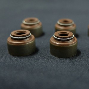 فيتون المطاط صمام الجذعية الأختام زيت ما بعد البيع استبدال محرك الديزل