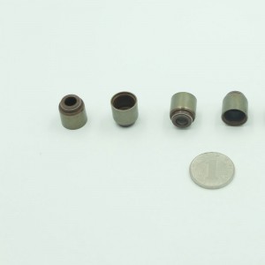 أعلى جودة FKM المطاط صمام الجذعية الأختام للسيارات تشانجان