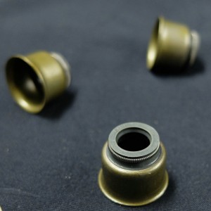 جودة عالية مصنوعة في الصين ختم النفط الجذعية صمام لفورد السيارات