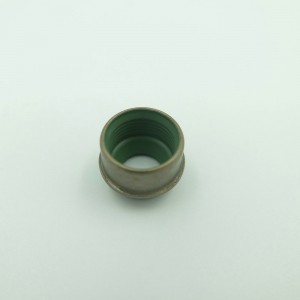 ارتفاع درجة الحرارة المقاومة فيتون المطاط ختم النفط ختم صمام الجذعية للسيارات سانتانا