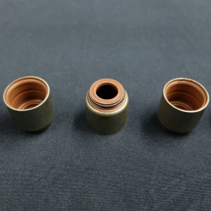 الصين مورد صمام ختم النفط الجذعية للسيارات رينو