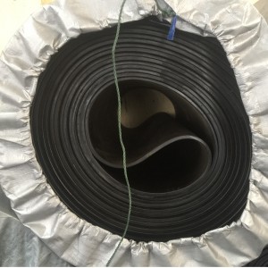 حزام سير لا نهاية لها