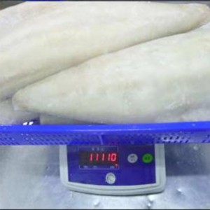 شرائح فيليه الأطلسي المثلج والمجمدة الخفيفة