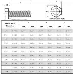 Hex Tap Bolts Grade 5
