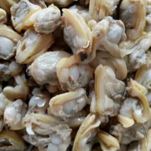 المجمدة مرقط اللحوم اللحم