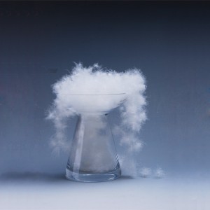 البطة الطبيعية ، أوزة أسفل ريشة المواد