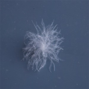 البطة الطبيعية ، أوزة أسفل ريشة المواد