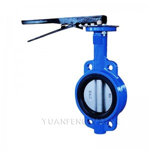 رقاقة فراشة نوع صمام