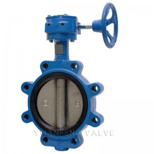 العروة نوع فراشة صمام