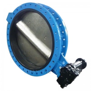 صمام فراشة مشفه