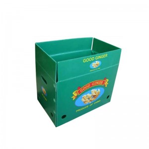 صندوق الزنجبيل