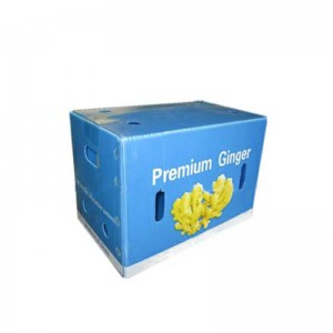 صندوق الزنجبيل