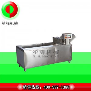 غسالة التطهير الأوزون الفاخرة (حزام ناقل عكسها)