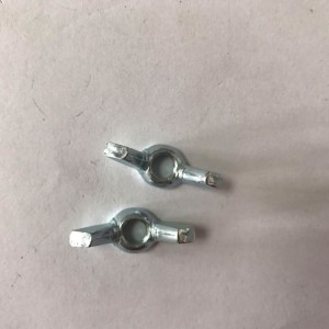 الجناح الصلب الجوز