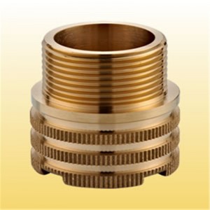 أنثى إدراج المناسب