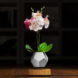 المغنطيسى العائمة أسفل الهواء بونساي وعاء المزارعون PA-0708