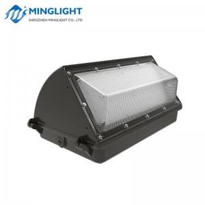 مصباح الجدار LED حزمة WPB2 42W