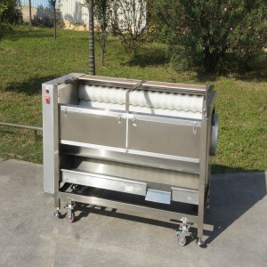 نوع جديد QX-818 منظف الفاكهة / آلة تقشير الفاكهة / آلة تقشير فرشاة تنظيف الفاكهة