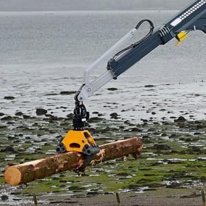 معالجة الخشب العملاقة كرين