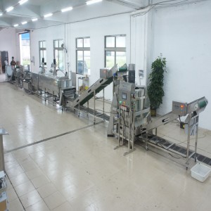 الكراث كبير قتل خط الانتاج