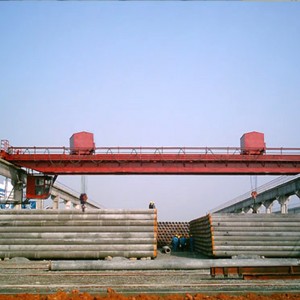 شعاع مزدوج رافعة علوية مع عربة مزدوجة