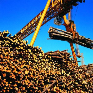 رافعة جسرية مع الاستيلاء