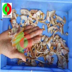 تقطيع اللحم الصغيرة / تقطيع اللحم / آلة تقطيع اللحم / تقطيع اللحم العمودي الصغير QE-500