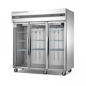 تستقيم كامل عرض الفولاذ المقاوم للصدأ عرض الثلاجة الفاخرة