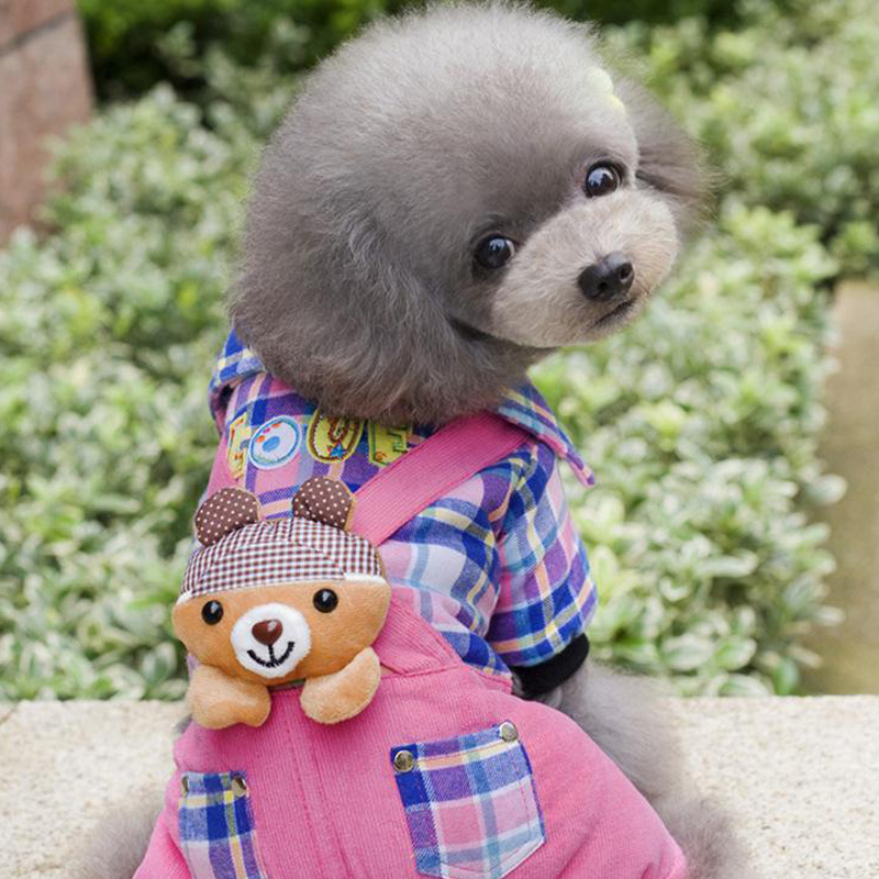 ما مقدار الطعام الذي يحتاجه الكلب لتناوله كل يوم؟