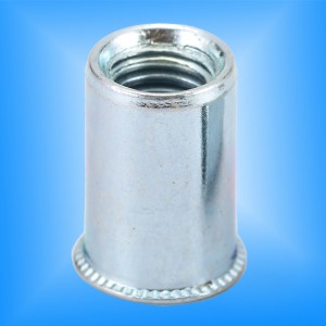 خفض الجسم جولة رئيس