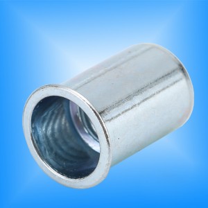 خفض الجسم جولة رئيس