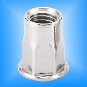 رئيس شقة الداخلية الجسم عرافة