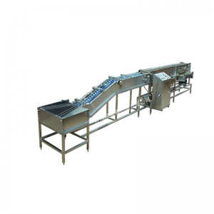 wf100 البيض الالكترونية وزنها المصنف