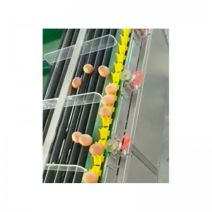 wf100 البيض الالكترونية وزنها المصنف