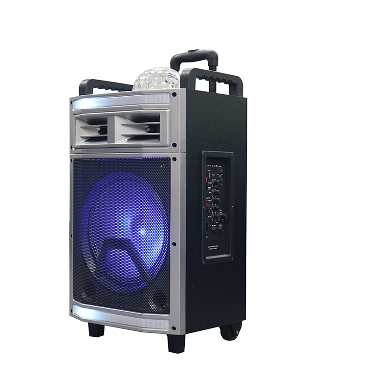 مكبر صوت ترولري Y-B22-12H