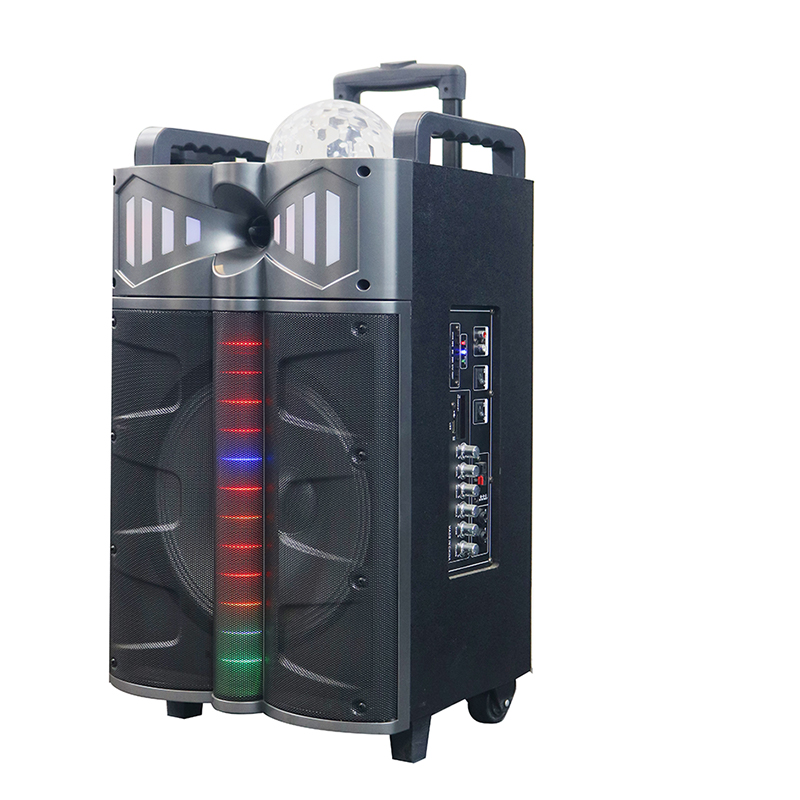 مكبر صوت ترولري Y-DJ1201-12H