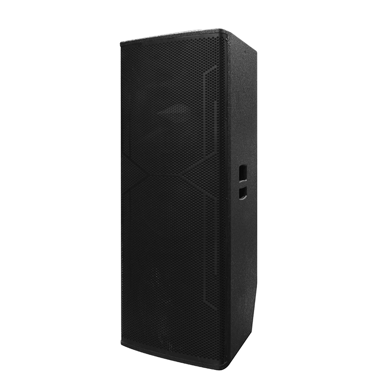 مكبر صوت DJ كبير Y-450DH