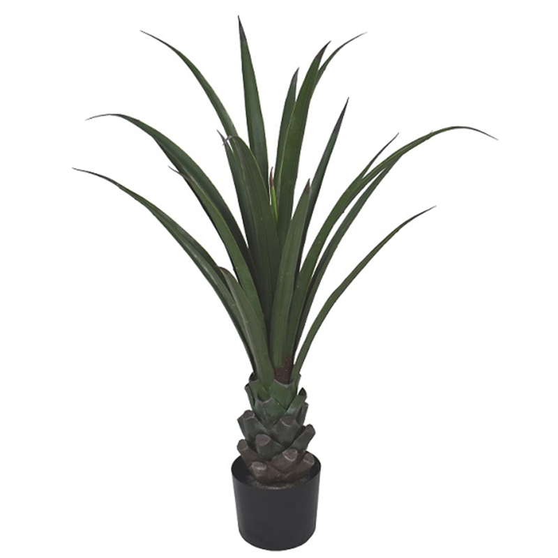 رقم العضوية