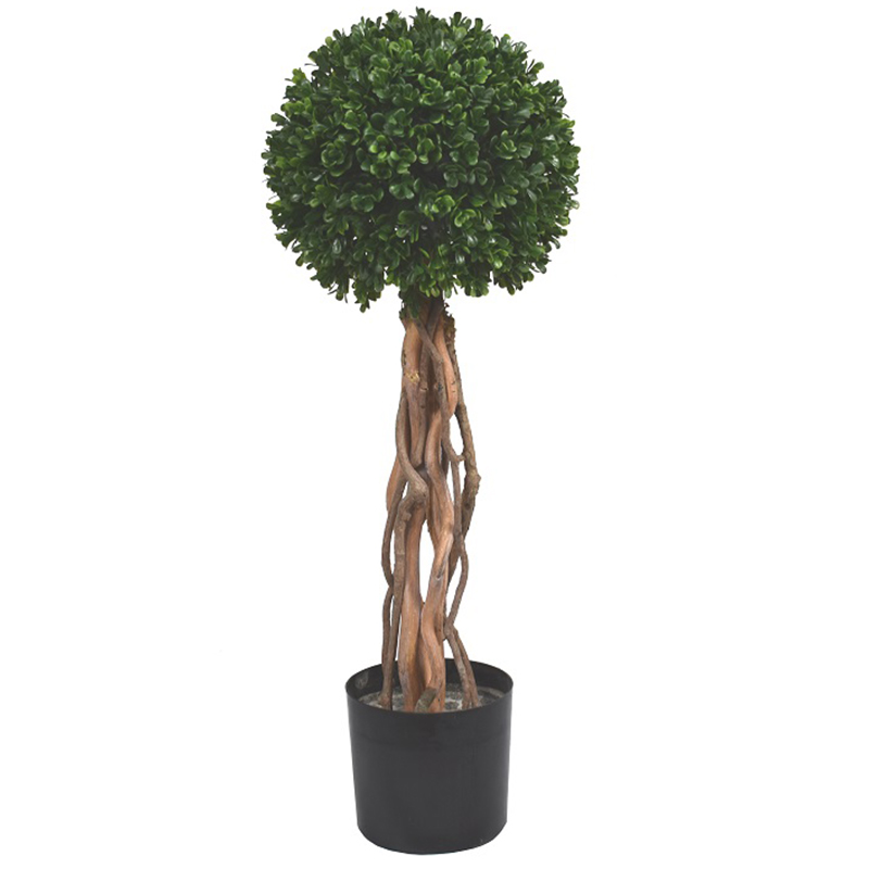 رقم العضوية