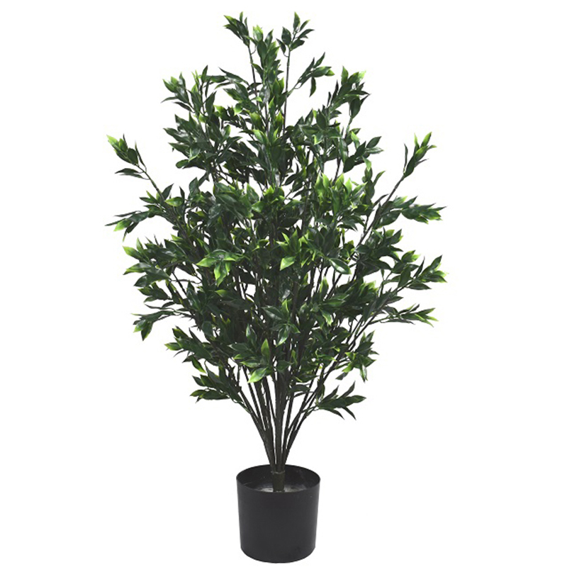 رقم العضوية