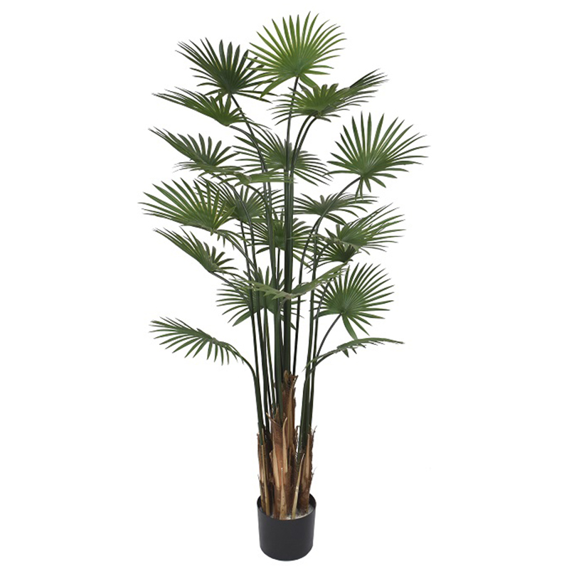 رقم العضوية