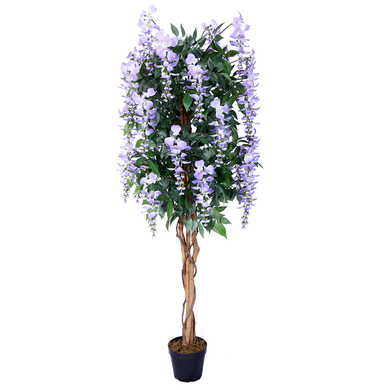 رقم العضوية