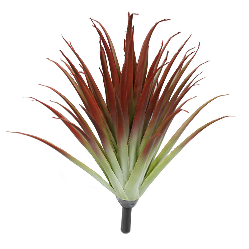 رقم العضوية